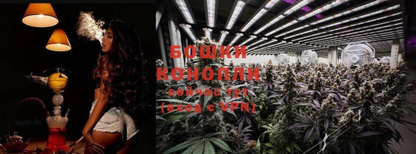 ешки Елабуга