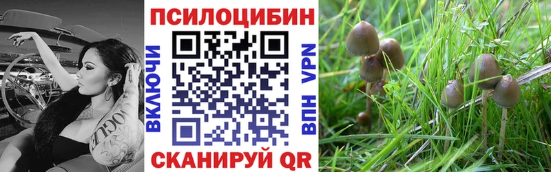 Псилоцибиновые грибы ЛСД Крым